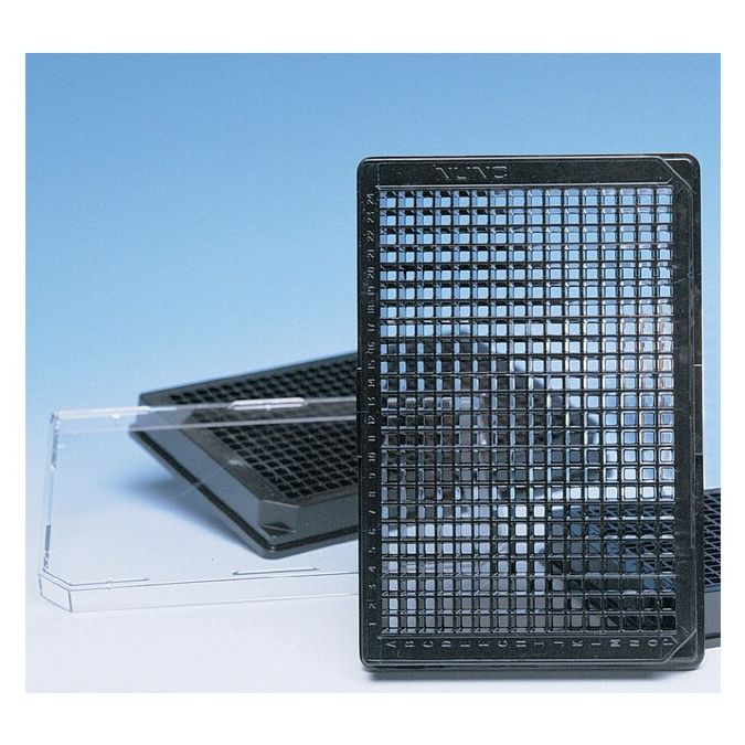 Thermo Scientific 384 Well Black Plate, Optically Clear Polymer Bottom, Pack Of 10 - 384 wells - 142761