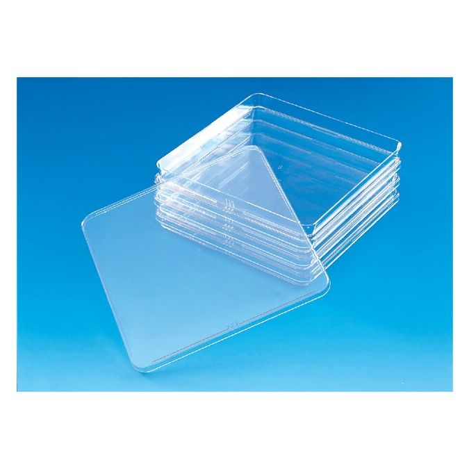 Thermo Scientific Nunc Square BioAssay Dishes - 240835
