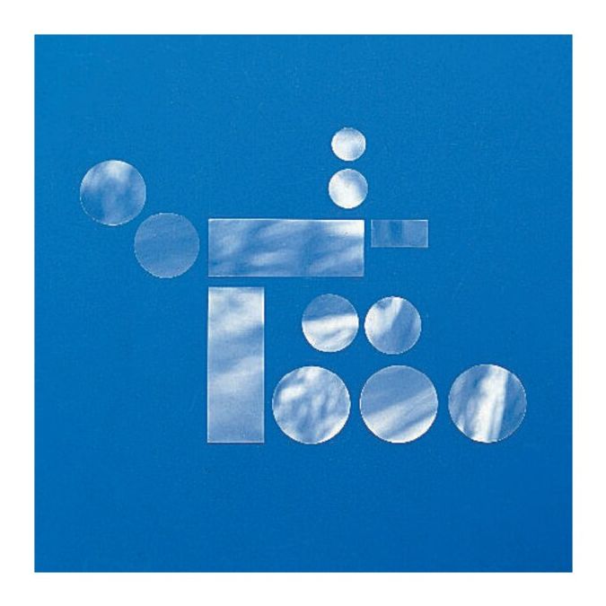 Nunc Thermanox Coverslips