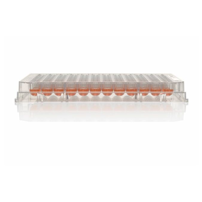 Thermo Scientific Nunclon Sphera 96-Well, Nunclon Sphera-Treated, U-Shaped-Bottom Microplate - 174925