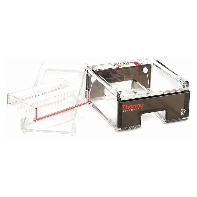 D2-CST