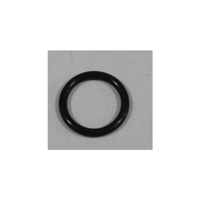 THERMO GSX62 O-RING .859IDX.139 VITON 70