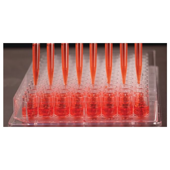 Thermo Scientific Nunc Edge 96-Well, Non-Treated, Flat-Bottom Microplate - 96 wells - 0.35 cm2/well culture area - 267427