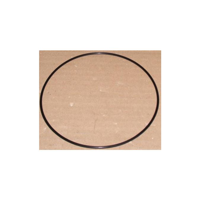 THERMO S308305A o-ring 2-160 (set of 10)