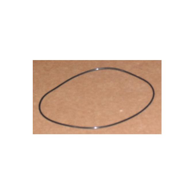 THERMO S4013673 O RING