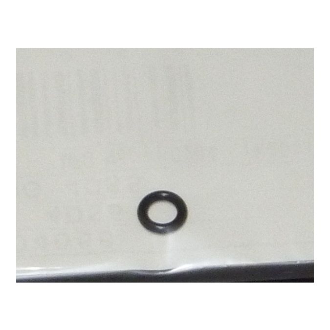THERMO S404066 O-RING