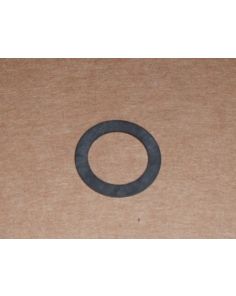 THERMO 01024BI GASKET ELTRODE FLC