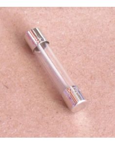 THERMO 04420BI FUSE MDX .25 X 1.25 2A 250V