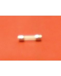THERMO 102487 FUSE 5A250V FST ACTG(5 X 20MM)