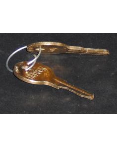 THERMO 106593 KEY DOOR 401-051A