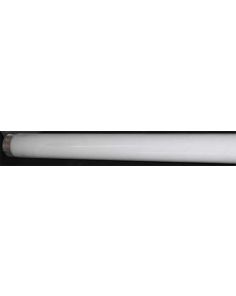 THERMO 106830 BULB 15W T8 COOL WHITE -A-