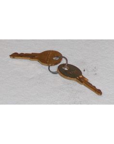 THERMO 106960 KEY DOOR LOCK