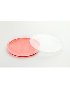 Nunc EasYDish Dishes