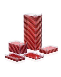 Nunc Cell Factory System