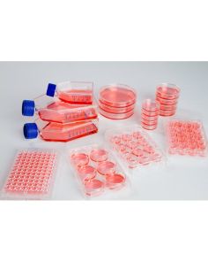 Thermo Scientific 96 Well Plate, Sphera Low-Attachment Surface, Pack of 1 - 174927