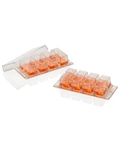 Nunc Lab-Tek Chambered Coverglass