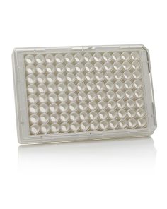 Thermo Scientific Nunc MicroWell 96-Well, Collagen Type I-Treated, Flat-Bottom, Optical Polymer Base Microplate - 152040