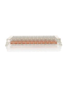 96 Well Plate, Non-Treated, Surface, No Lid, Non-sterile, Pack of 10