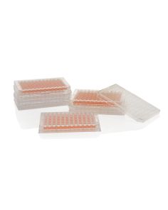 Thermo Scientific 96 Well Plate, UpCell Temperature Responsive Surface, Pack Of 1 - 174897