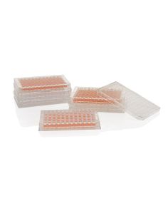 Nunc MicroWell 96-Well, Nunclon Delta-Treated, Flat-Bottom Microplate