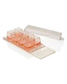 Nunc Lab-Tek Chamber Slide System