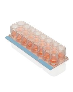 Nunc Lab-Tek Chamber Slide System