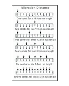 Owl D3-MT2D HORIZONTAL COMB 2X MICRO WELL