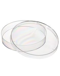 Nunc Petri Dishes