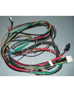 THERMO 195822 UPRIGHT ULT MAIN HARNESS