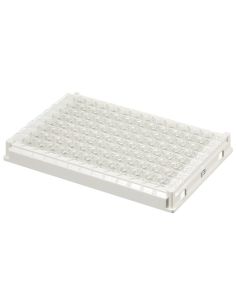 Strip Assembly, 1 x 12, EB