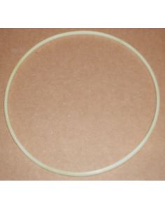 THERMO 20049834 RING