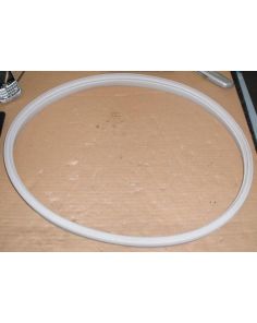 THERMO 20056748 SEAL