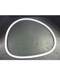 THERMO 20056760 SEAL