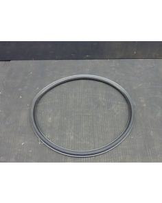 THERMO 20058632 GASKET DOOR