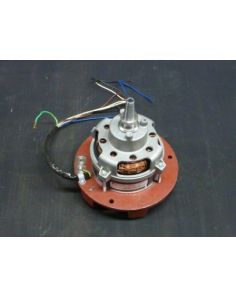 THERMO 20210413 Motor