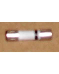 THERMO 20230101 FUSE 10 AMP.