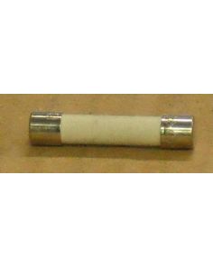 THERMO 20230211 FUSE 8 A SLOW BLOWN