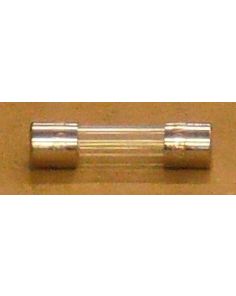 THERMO 20230218 FUSE 4AMP SLOW BLOWN