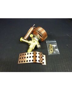 THERMO 20240485 INJECTION VALVE