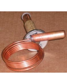 THERMO 20240640 INJECTION VALVE TLK