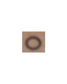 THERMO 20290342 O-RING 4 X 1
