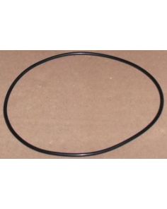 THERMO 20290369 O-ring