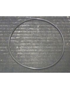 THERMO 20290482 O-RING 120 24 X 3 53