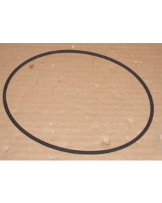 THERMO 20290483 O-RING 160 X 4