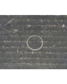 THERMO 20290522 O-RING
