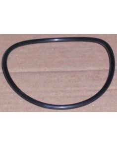 THERMO 20290557 O-RING