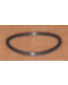 THERMO 20290630 O-RING
