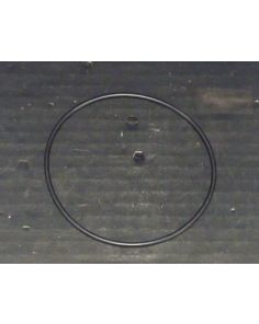 THERMO 20290657 O RING 98X3