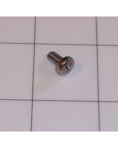 THERMO 20460094 SCREW M 4 X 8