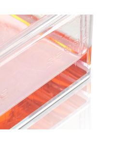 BioLite Cell Culture Treated Flasks